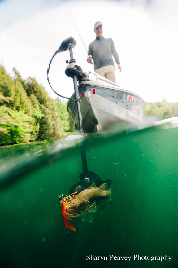 Young and In Love: Underwater Portraits in Crystal Lake Maine