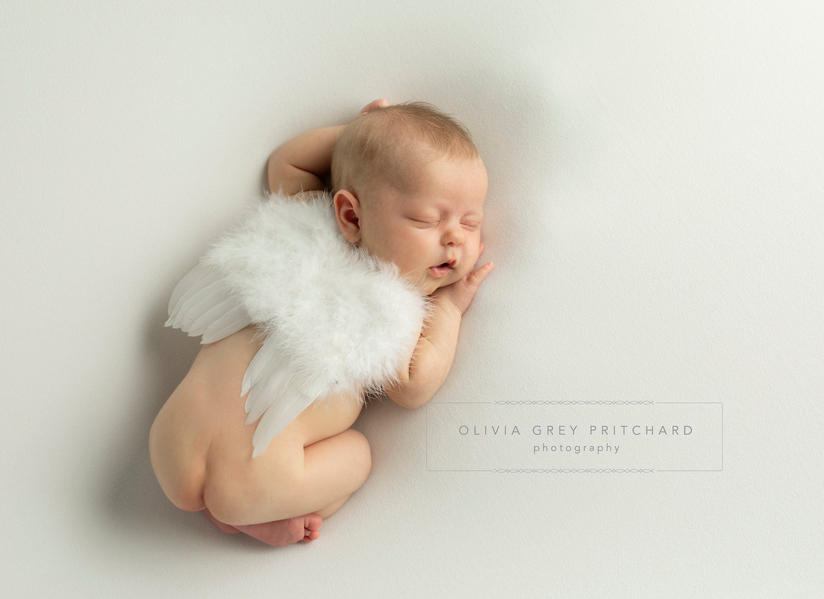 Multi-Generation Family Portraits: a Not-to-Miss Experience!