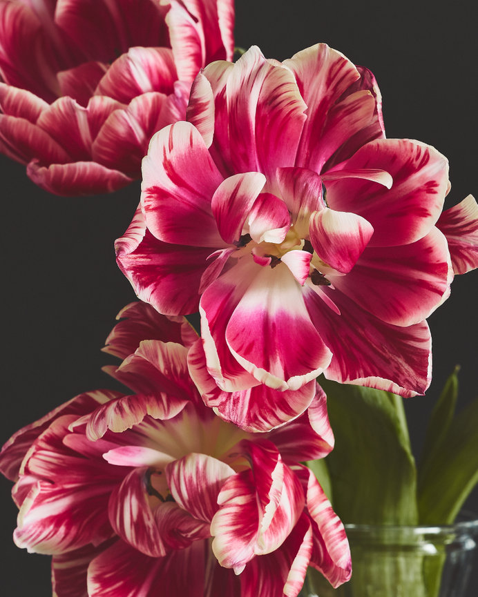 A Smattering of (pre)Work