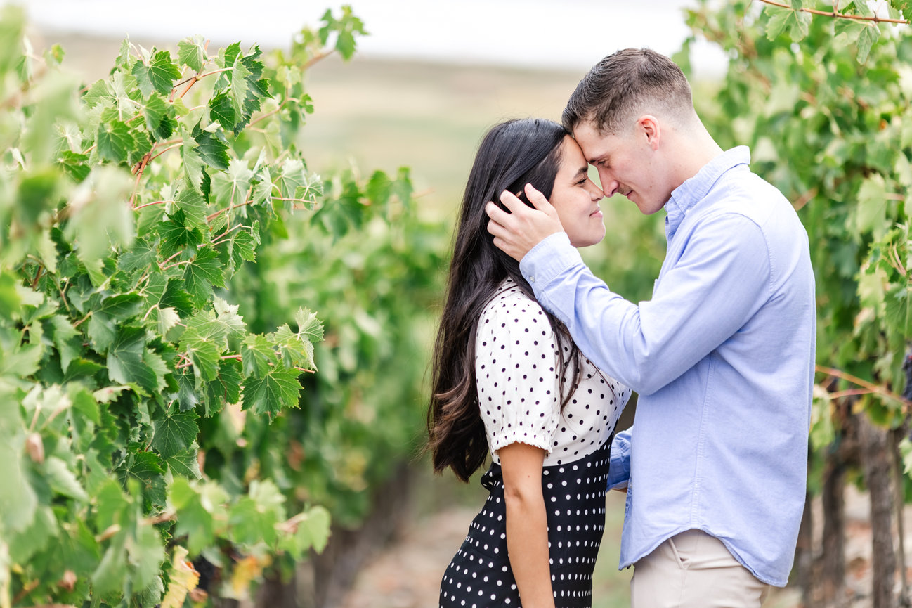 A Stunning Indian-American Wedding at Limerick Lane Cellars in Healdsburg Studio J Portraits