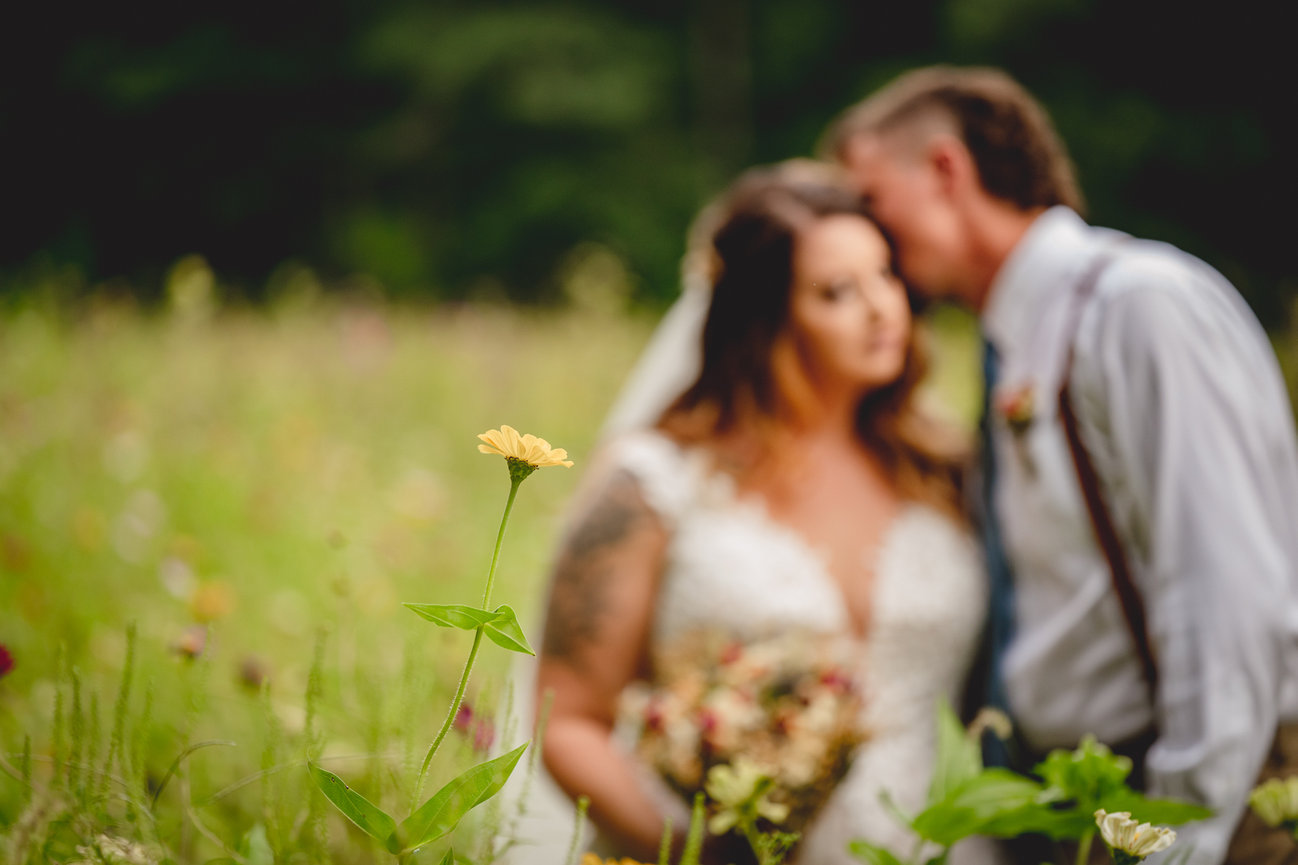 The Grove at City Market