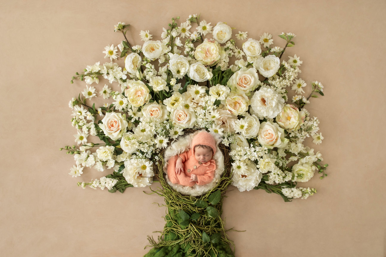 The Grove at City Market