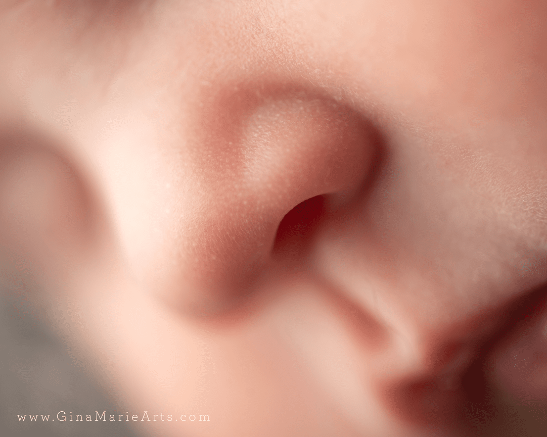 When Should You Schedule Your Maternity Photos on Long Island?
