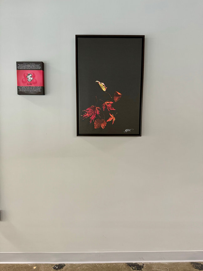 MainFrame Studio Exhibition