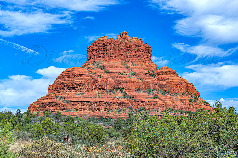 Kaiyah Takota The Final Chapter - A Novel Husky: Chapter 48