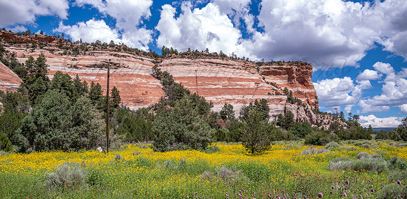 Kaiyah Takota The Final Chapter - A Novel Husky: Chapter 48