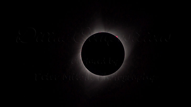 Kaiyah Takota The Final Chapter - A Novel Husky: Chapter 48