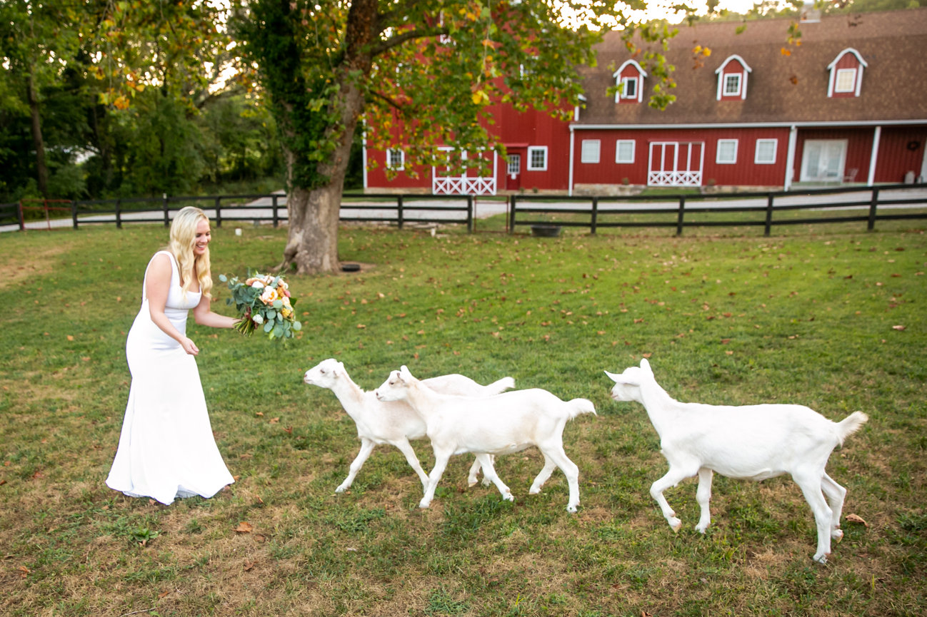 Weather! How to make sure it doesn't ruin your day!