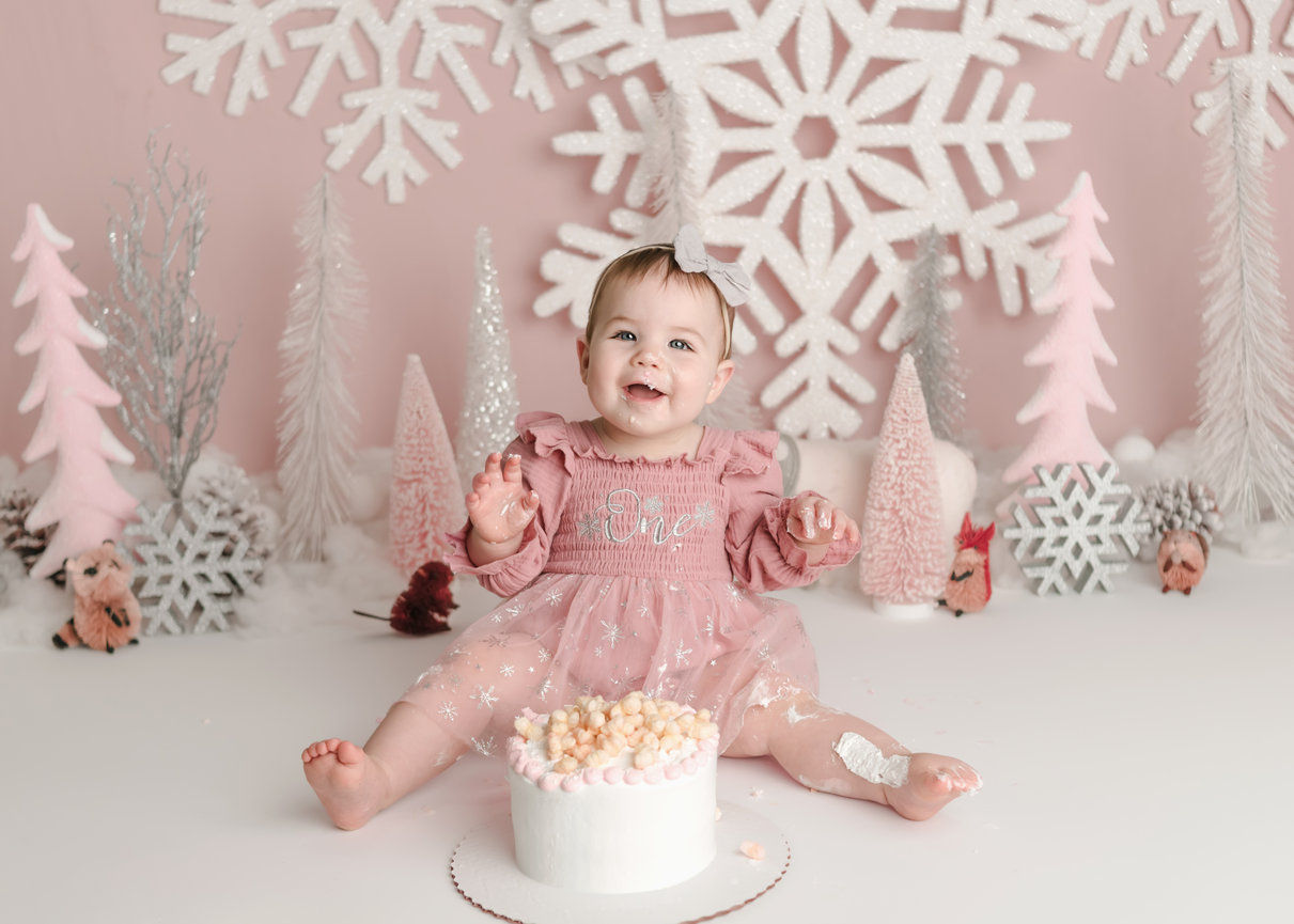 One Silly Goose Smash & Splash