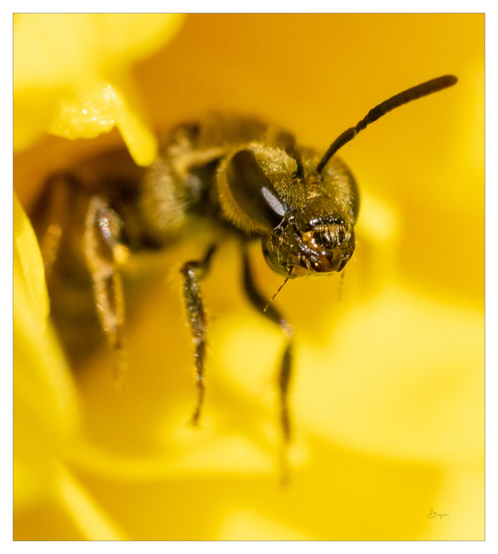 SENIOR PORTRAIT SESSION