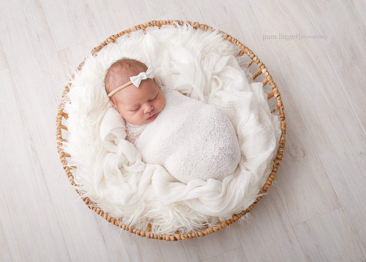studio newborn session [evanston newborn photographer]