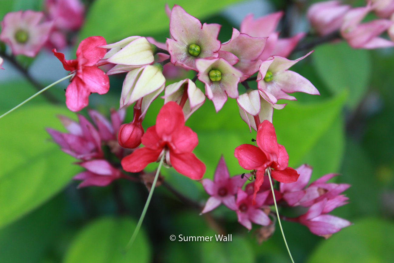 The 3rd Space - Creative Smartphone Photography Student Work - July 2025