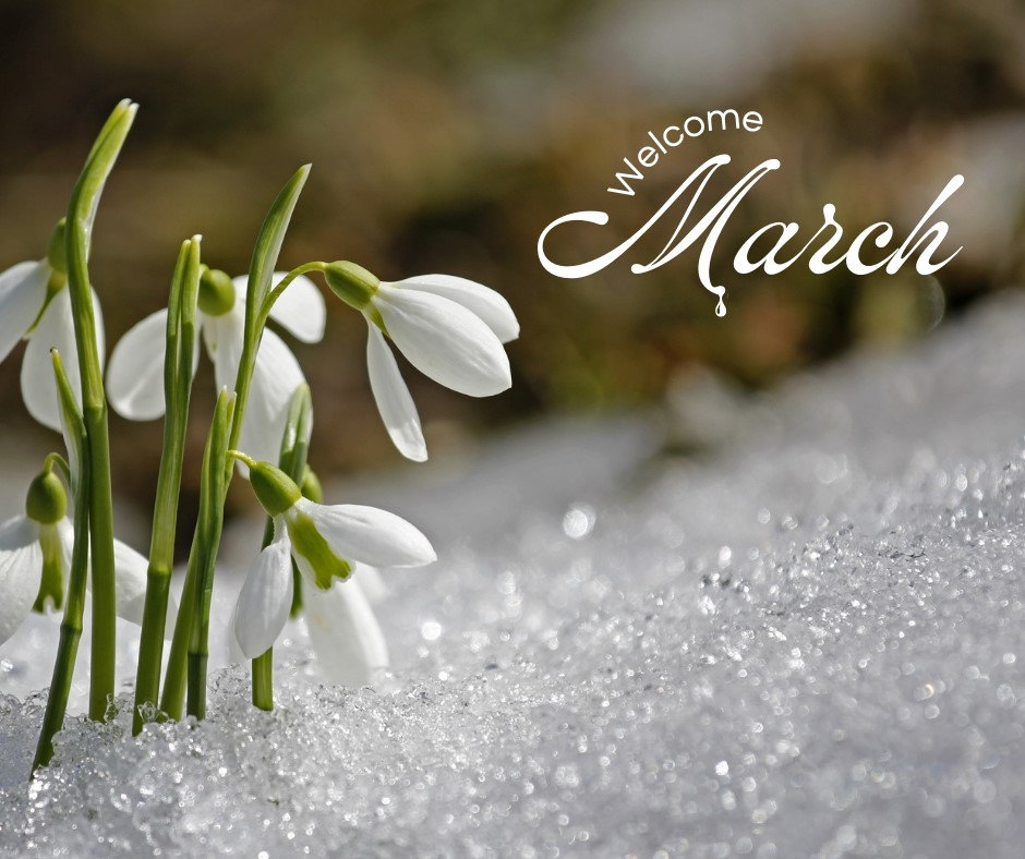 What to expect in a Photo Story Branding Session