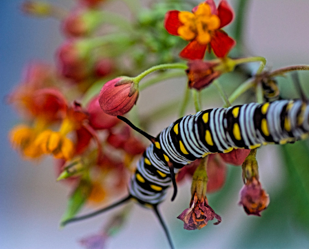 What to expect in a Photo Story Branding Session