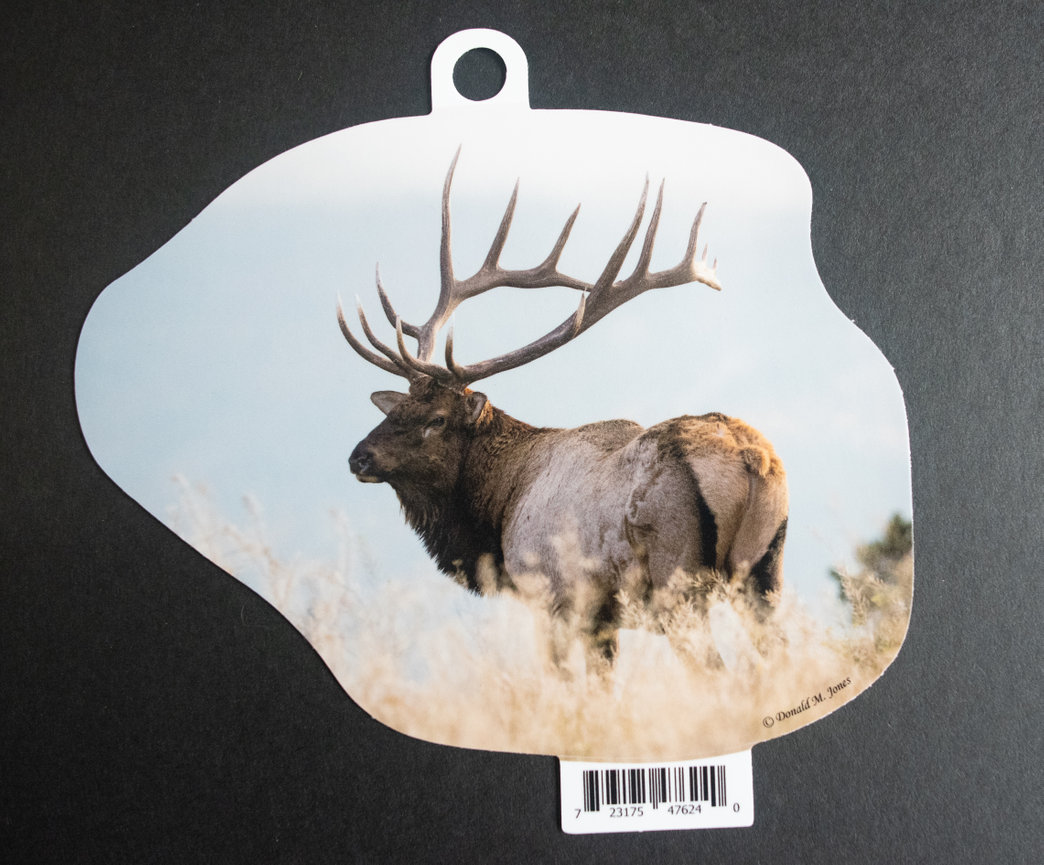 Bull Elk S4 547