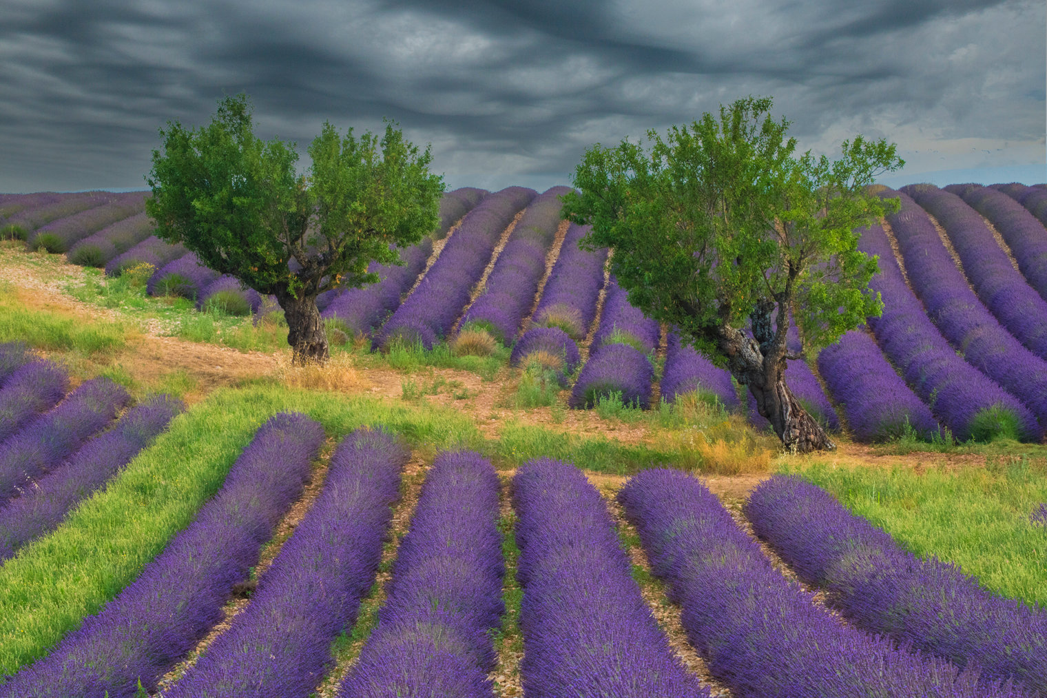 Landscapes Jim Zuckerman Photography Photo Tours