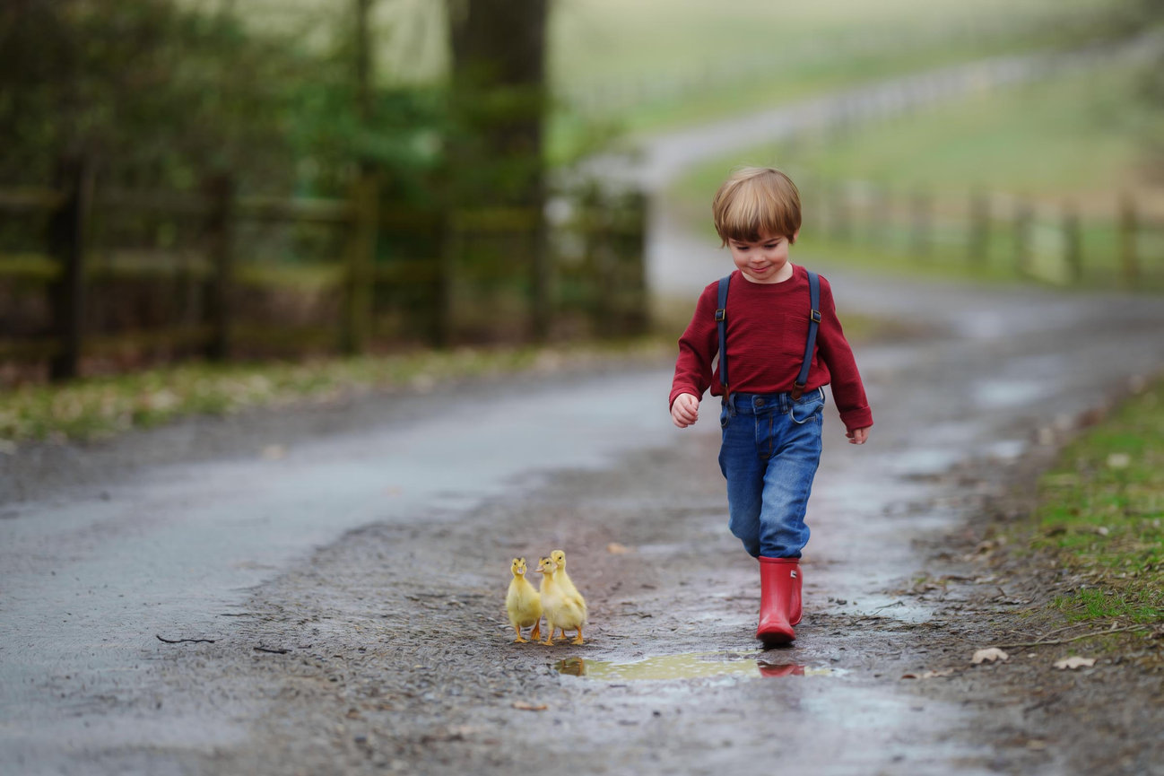 Custom Fairy Sessions for Pittsburgh, Mars and Cranberry Township
