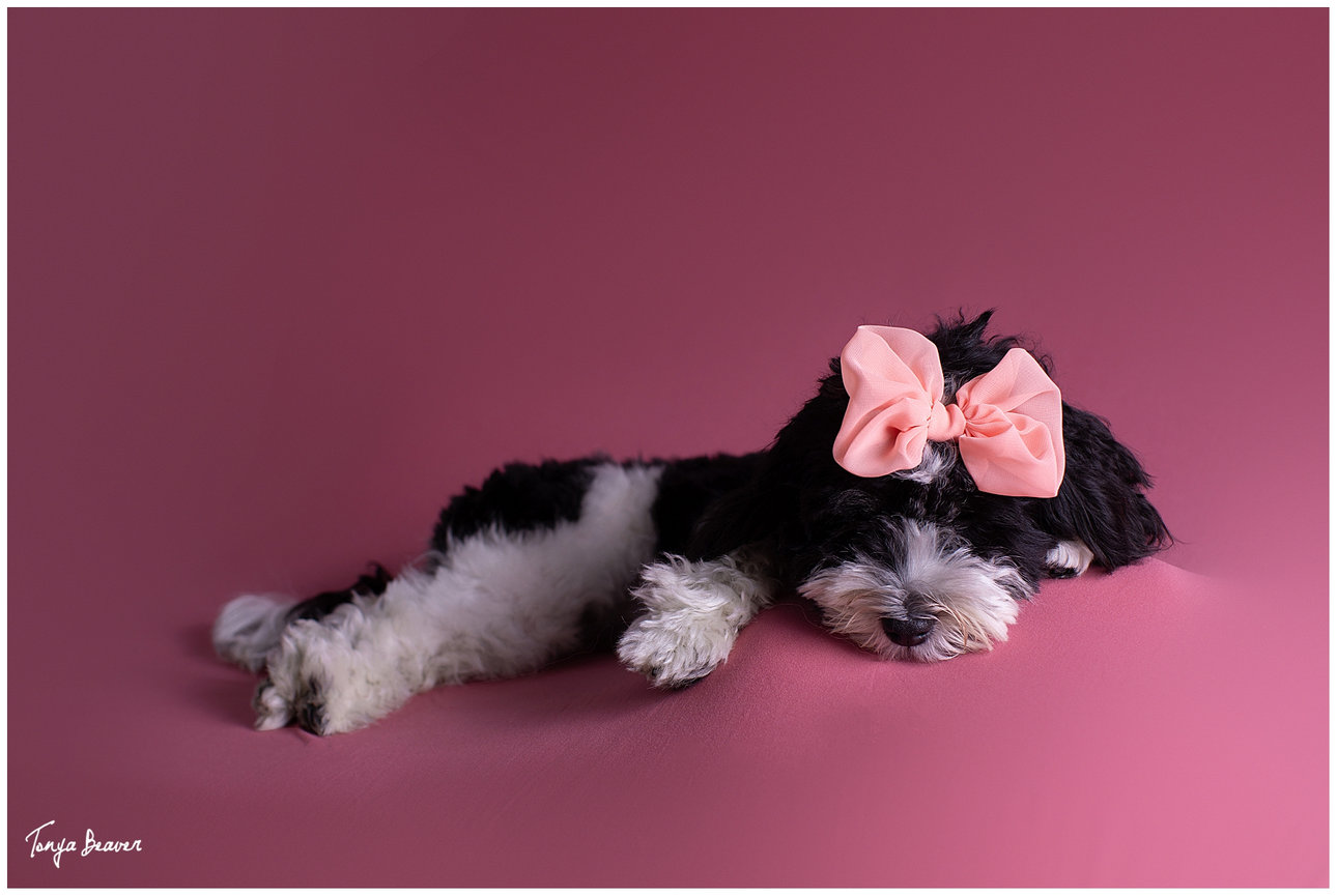 Vintage car couples shoot