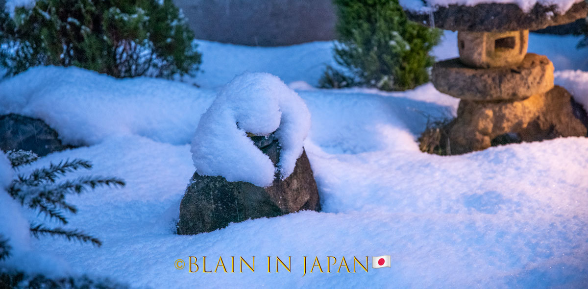 Steller's Sea Eagles - A Hokkaido Wildlife Adventure