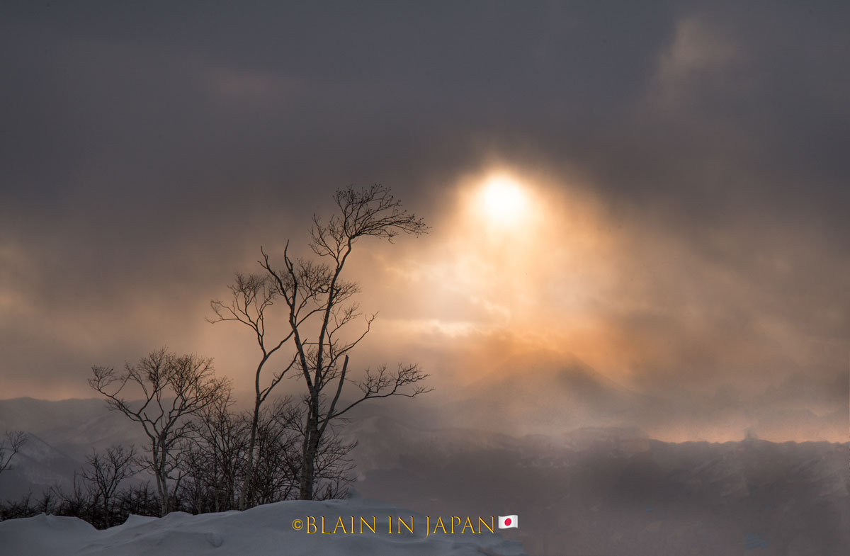 Hirosaki Castle Tohoku Japan Photography Workshop Tour
