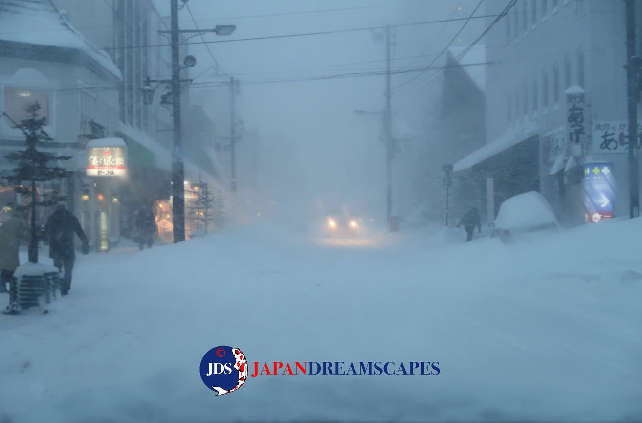 Discover Matsumoto Castle on a Hokkaido Photo Tour with JDS!