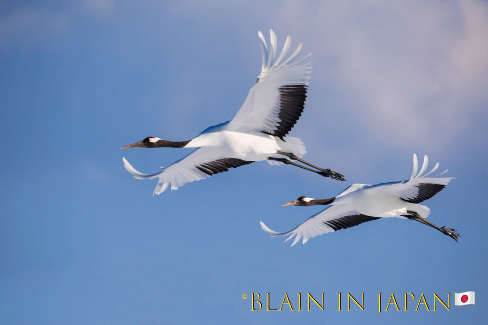 Kyushu Private Photography Workshop Island Hopping Tour