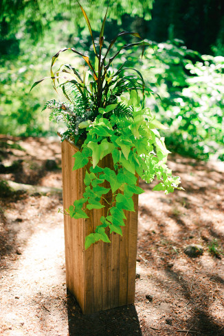 hoyt arboretum ceremony decor ferns and potato vine