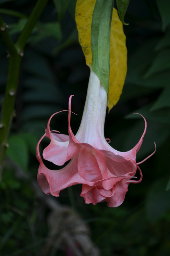 The 3rd Space - Creative Smartphone Photography Student Work - July 2025