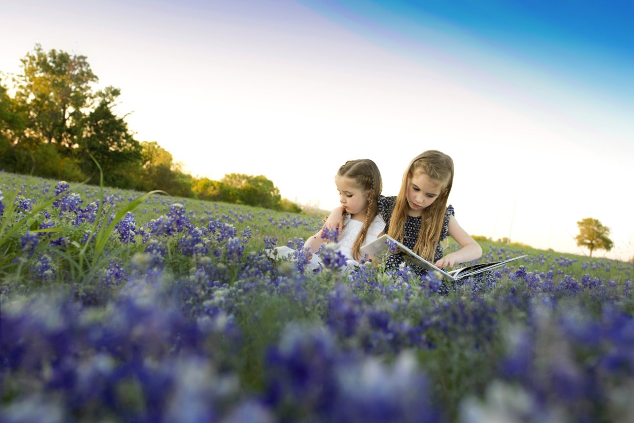 Pop-Up Bouquet - Blue Bonnets