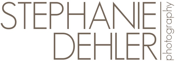 stephanie dehler Logo