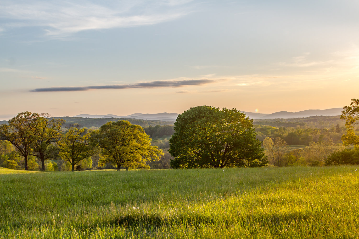 Virginia Landscape Photographer