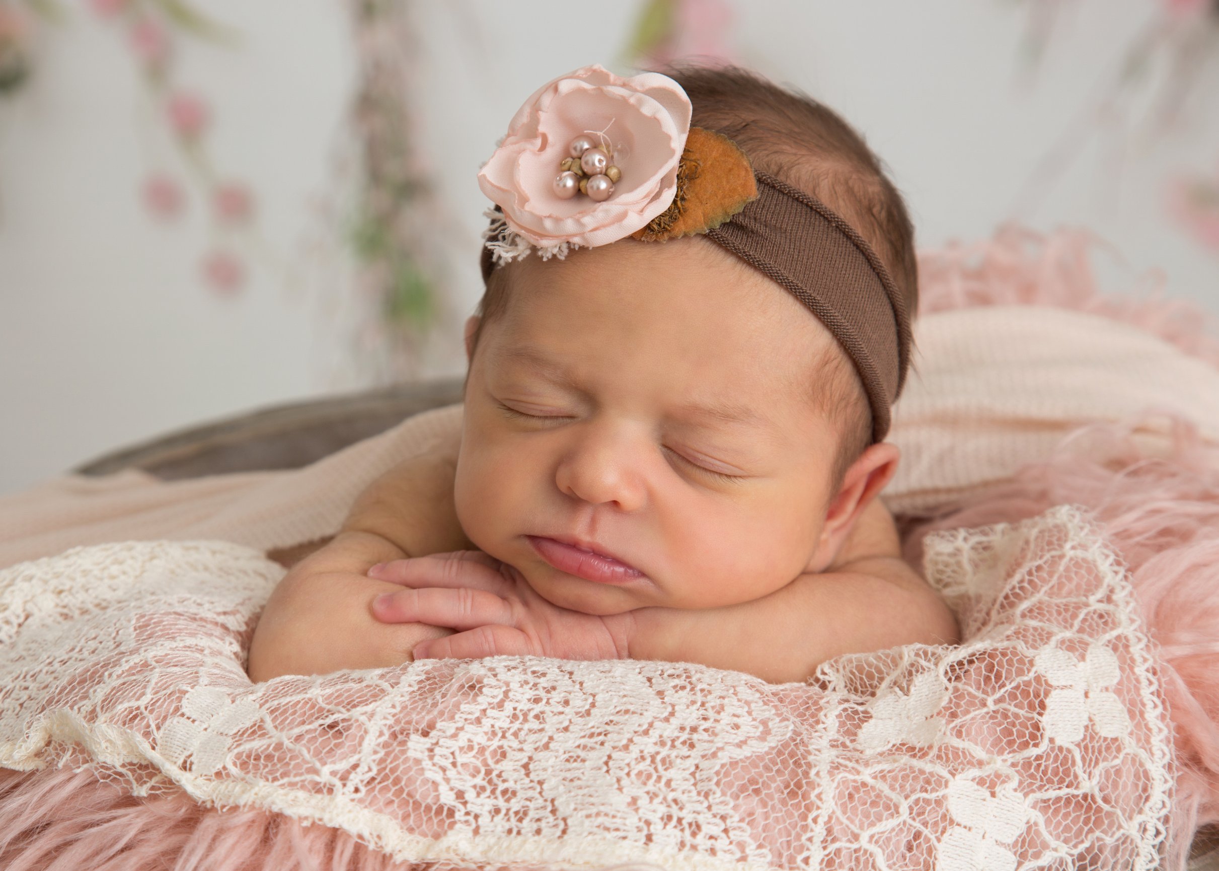 January Newborn Portraits - Nickolson's Portrait Studio