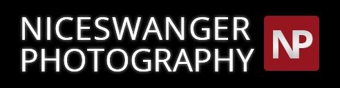 Niceswanger Photography Logo