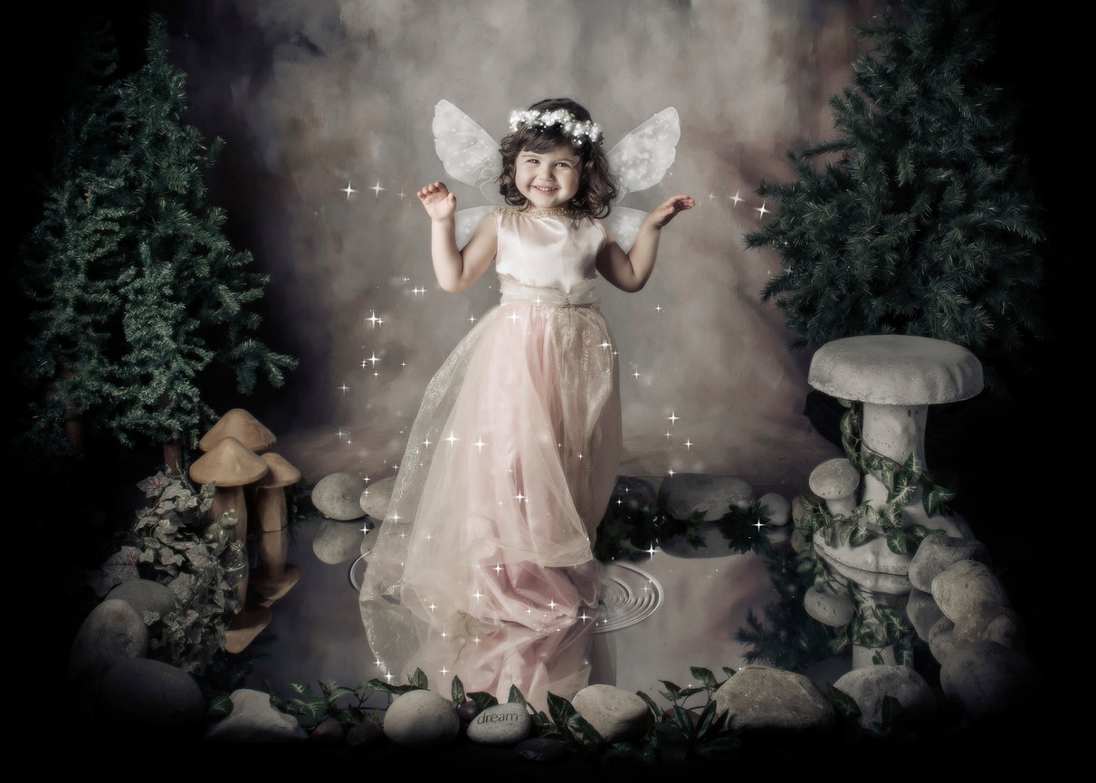 Fairy Picture, Fairy Accessories, Tiny Fairy Frames Portrait