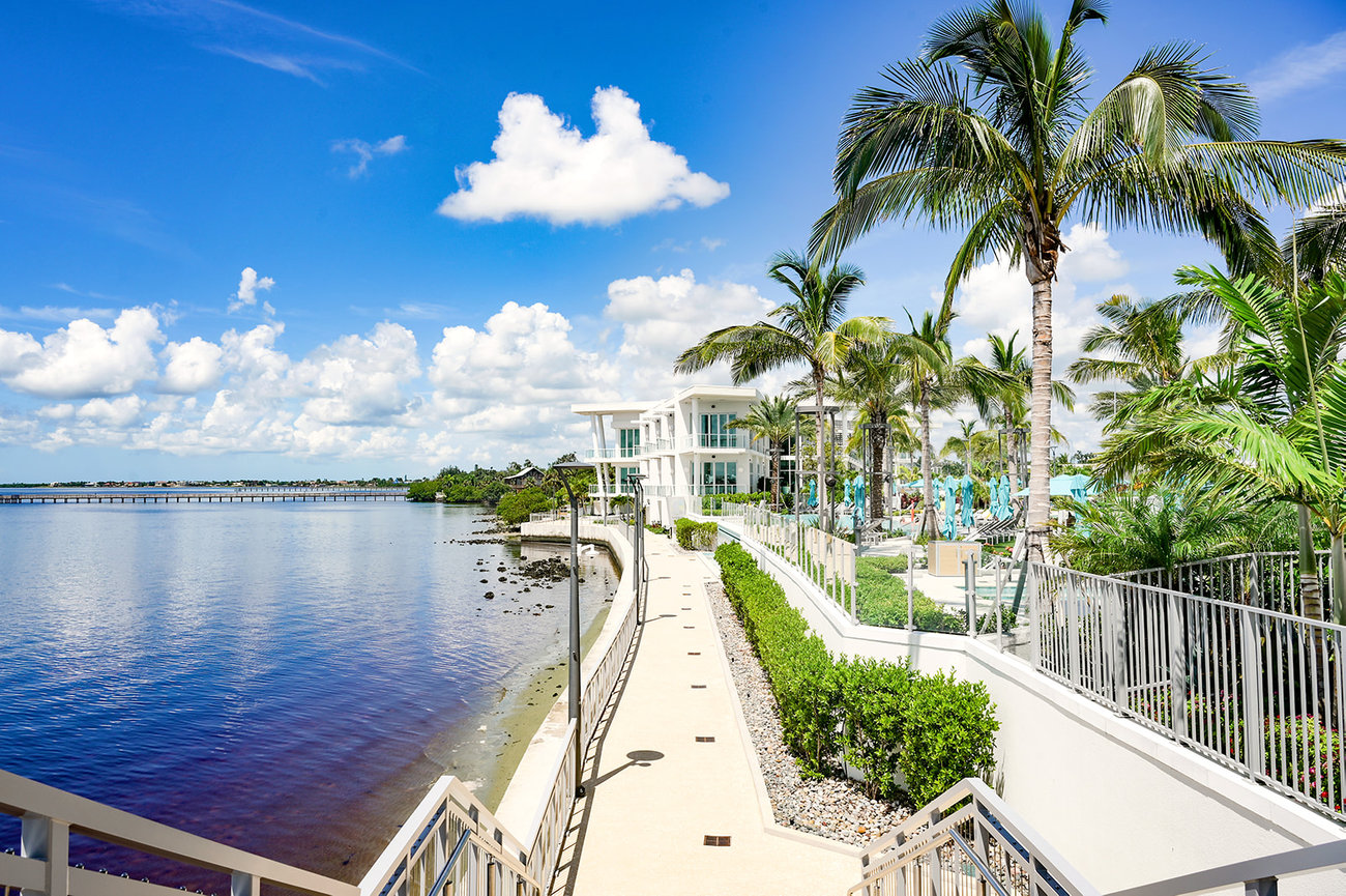Scenic waterfront pathway lined with palm trees, leading to a modern building under a bright blue sky.