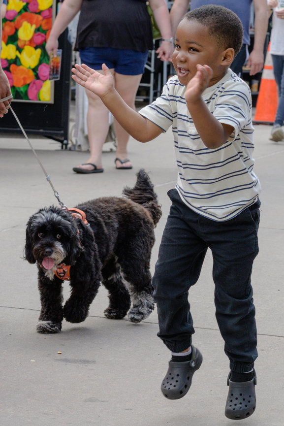 Festival of the arts