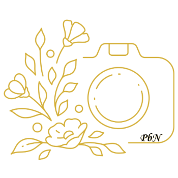 Photos by Nikita Logo