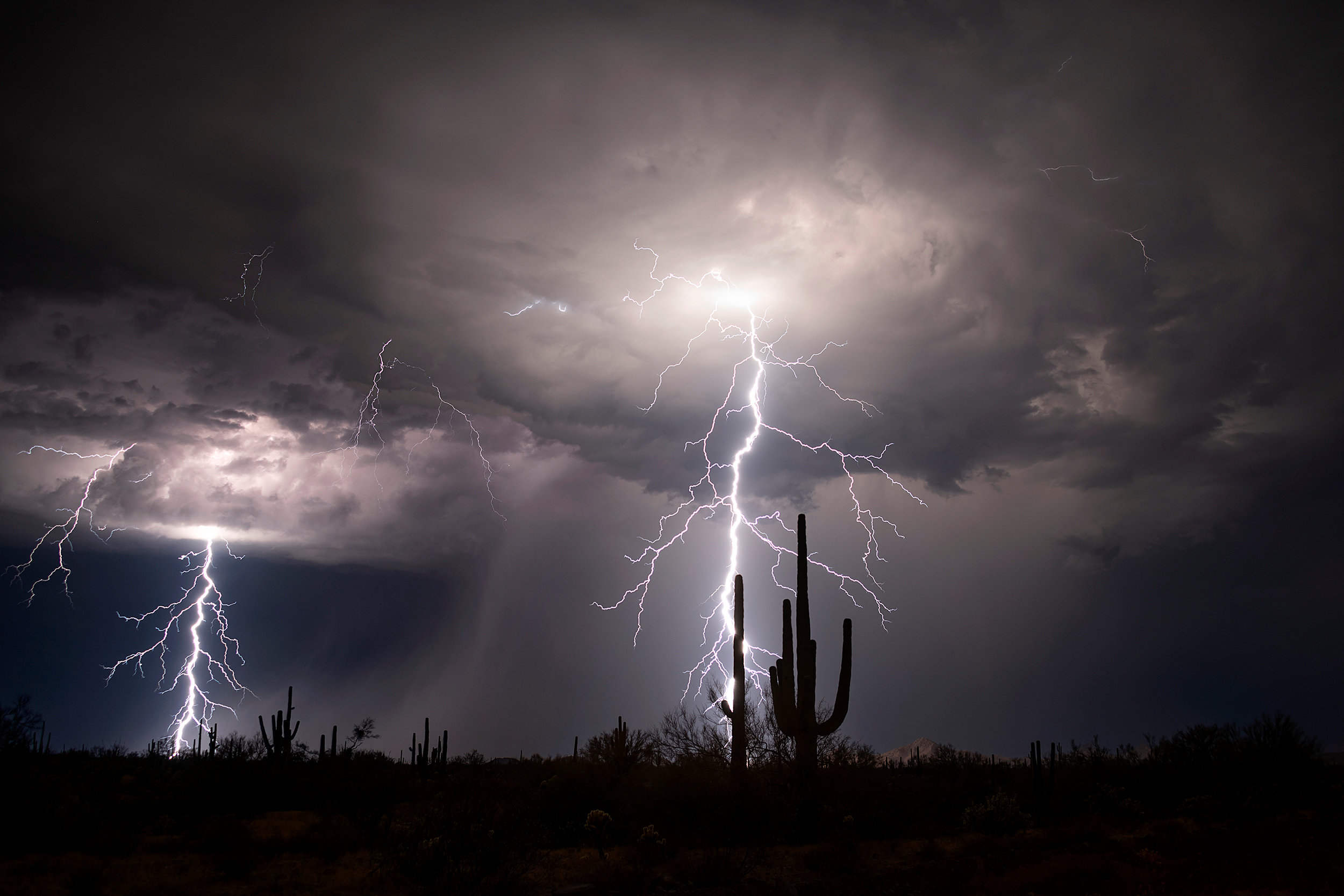 Arizona Monsoon Chasing Tours -Storm Chasing Photography Tours