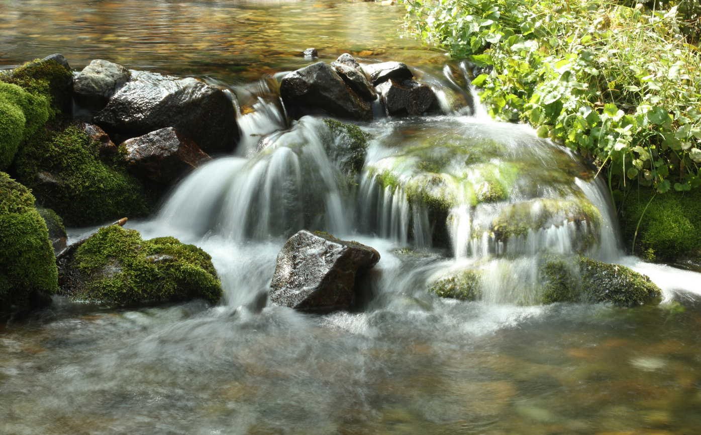Professional photography portfolio images for small businesses in Corpus Christi, TX.