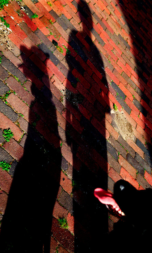Photography in Eugene, OR for small businesses, portraits, and creative visual storytelling.