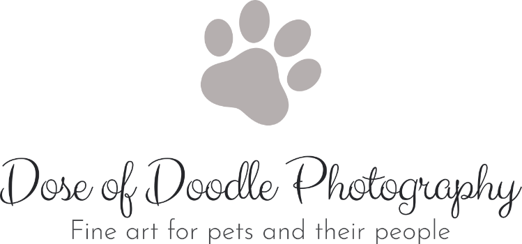 Dose of Doodle Photography Logo