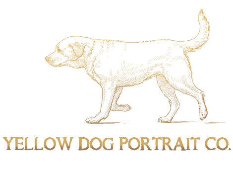 Yellow Dog Portrait Co. Logo