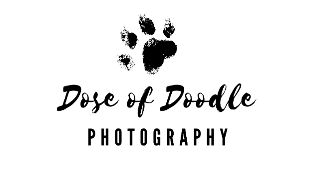 Dose of Doodle Photography Logo