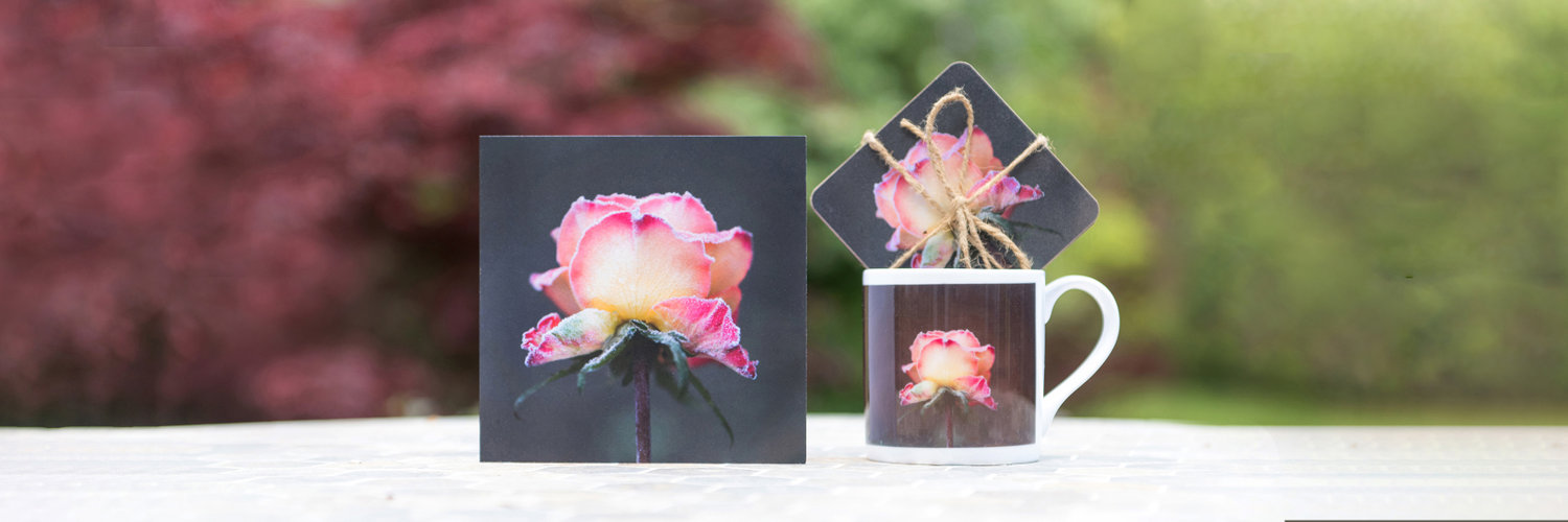 Trade and Wholesale floral greetings cards