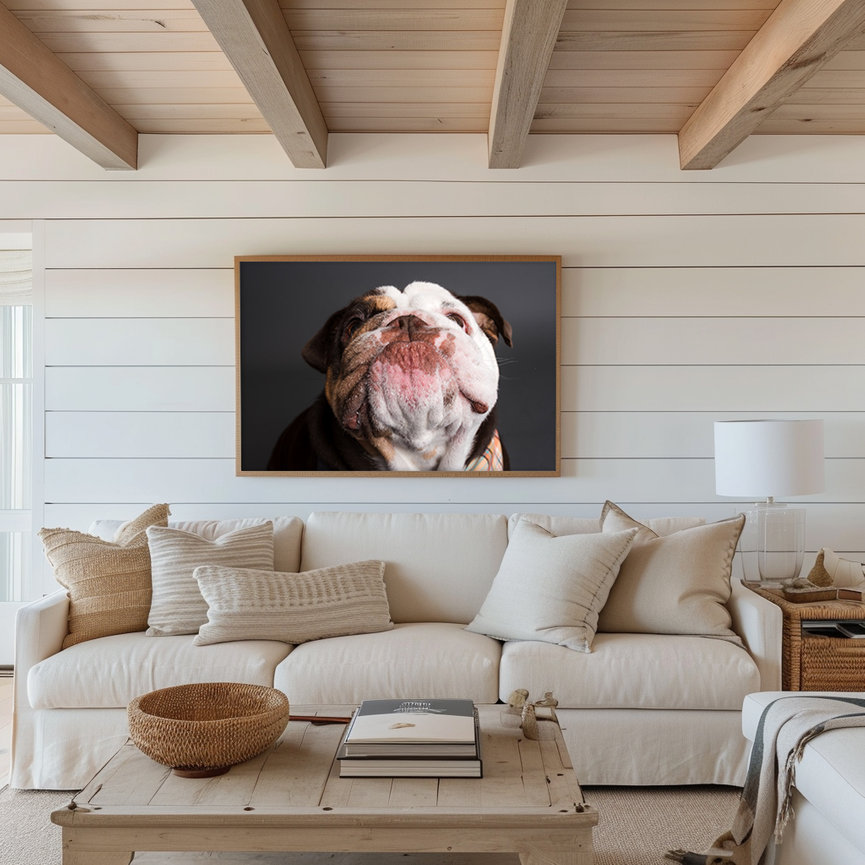 Bulldog studio portrait featured as framed wall art in home interior by BarkHop Studio, Glenmoore PA pet photographer