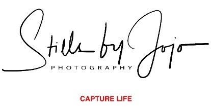 StillsByJoJo Photography Logo