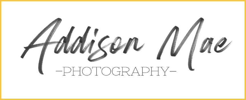 Addison Mae Photography - Chicagoland & Northwest Indiana Family ...