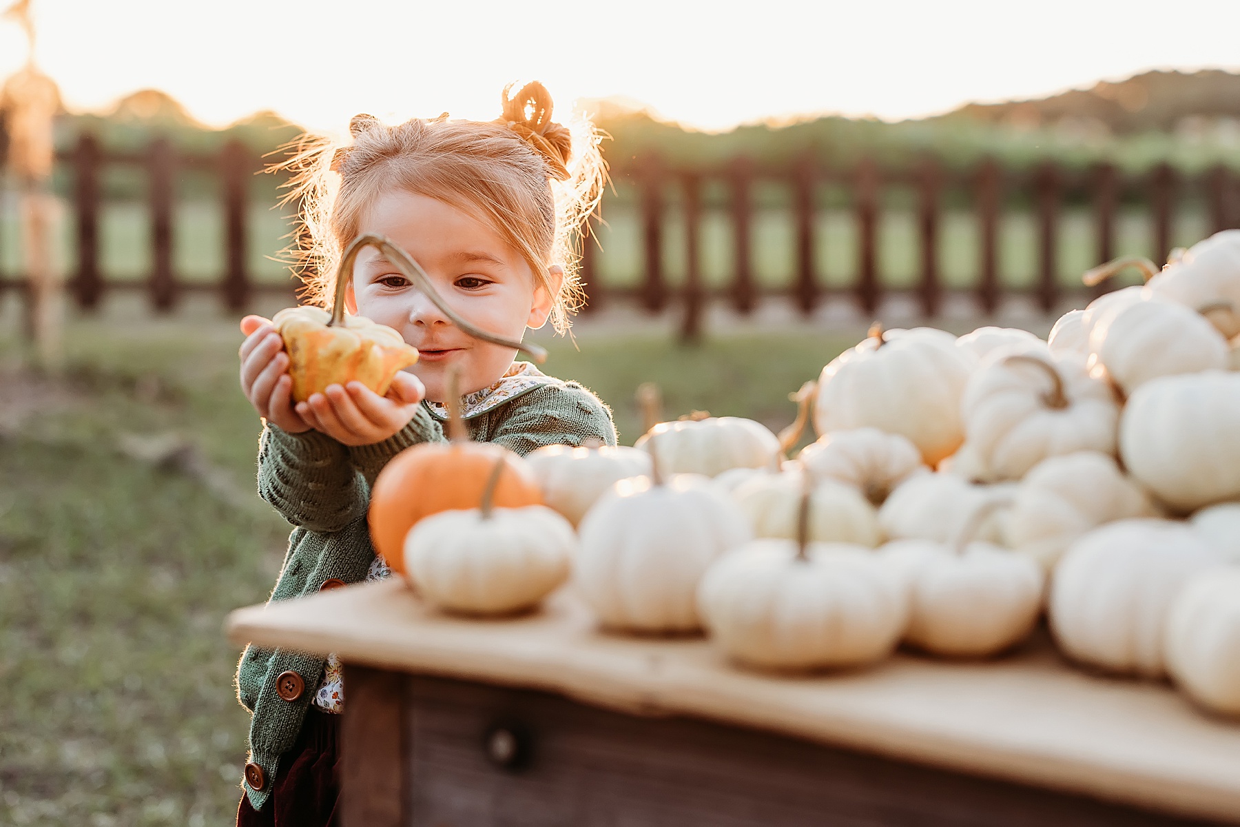 little girl looking at white pumpkin at a fall festival