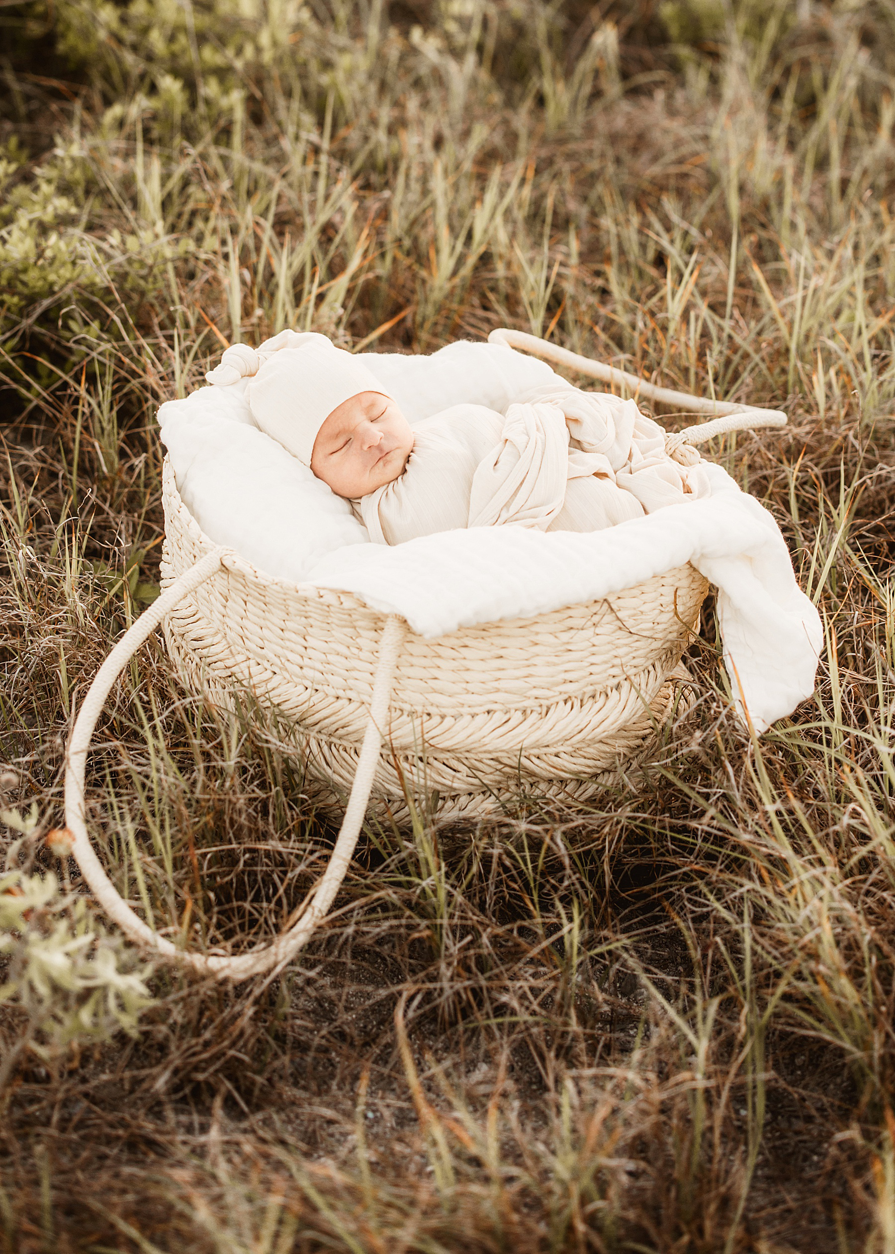 newborn baby girl wrapped in neutral swaddle in basket in an open grassy field