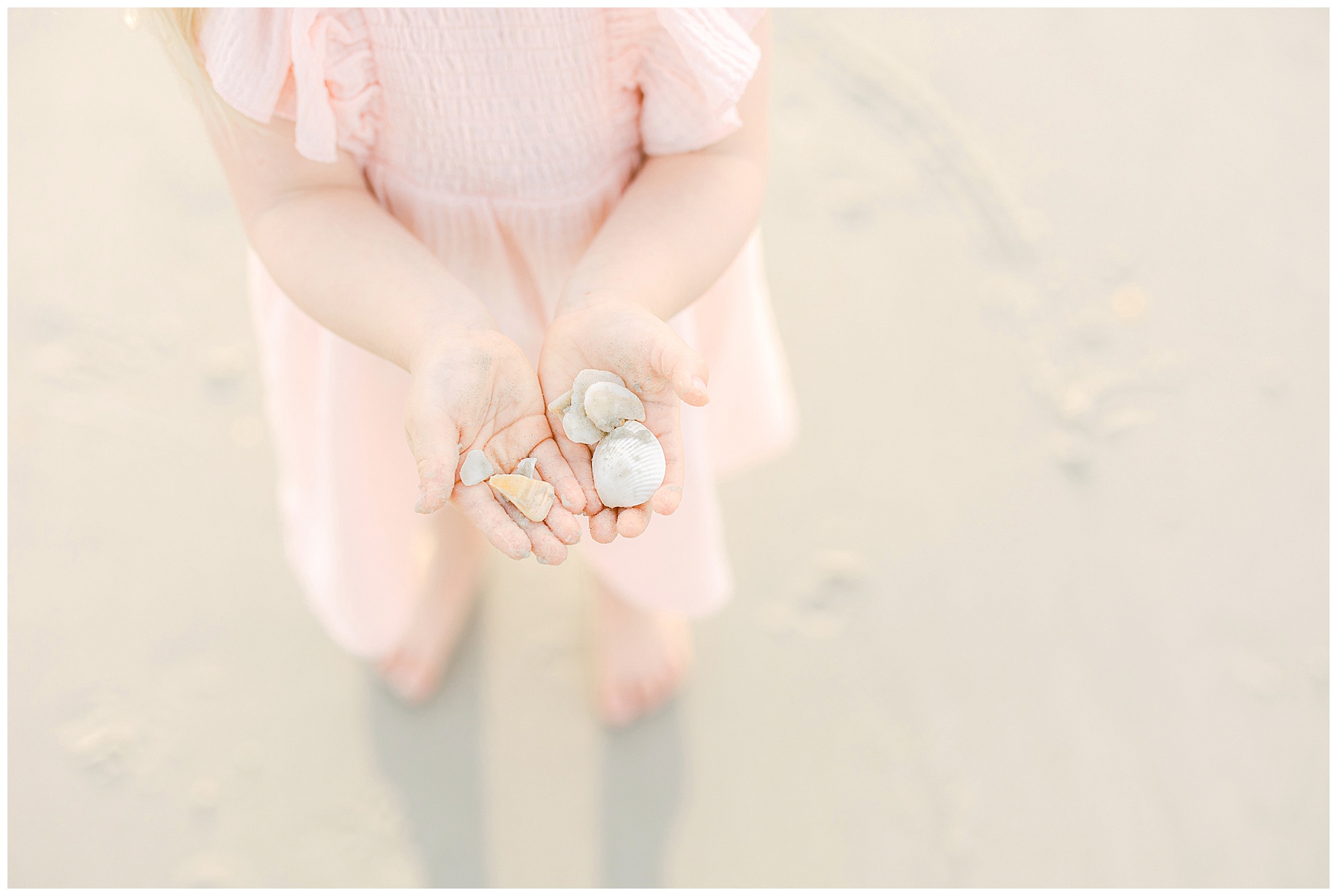 little girl holding sea shells on the shore in saint augustine florida